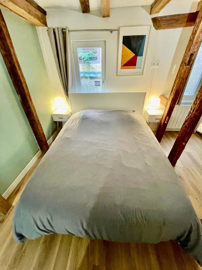 Strasbourg Magnifique Appartement Centre Ville Petite France 외부 사진